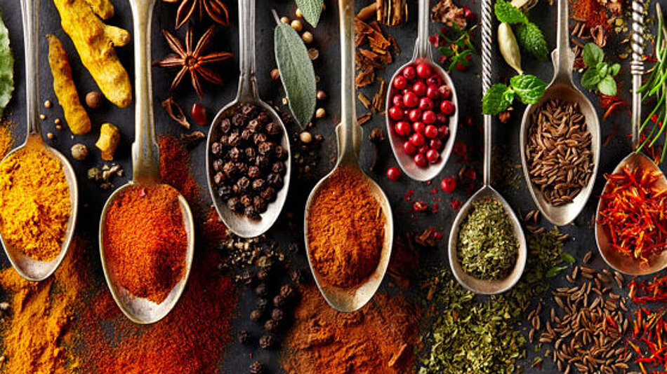 Hochwertige natürliche Zutaten Eine Auswahl verschiedener Gewürze wird auf Löffeln präsentiert