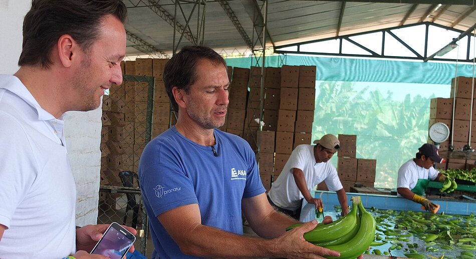 IPD services Finding new import sources